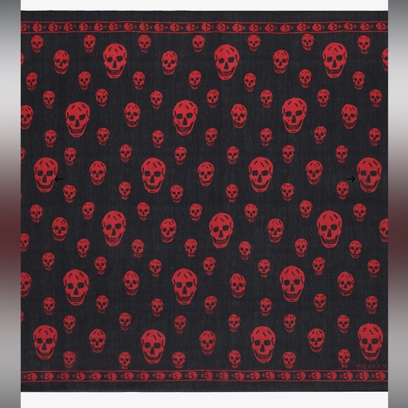 Alexander McQueen Accessories - Alexander McQueen Scarf